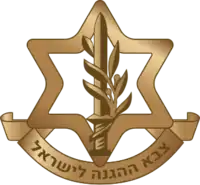 Israel Defense Forces