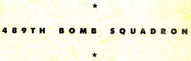 Cover of Quentin Kaiser's 489th Bomb Squadron Book.