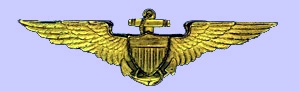 Navy Wings
